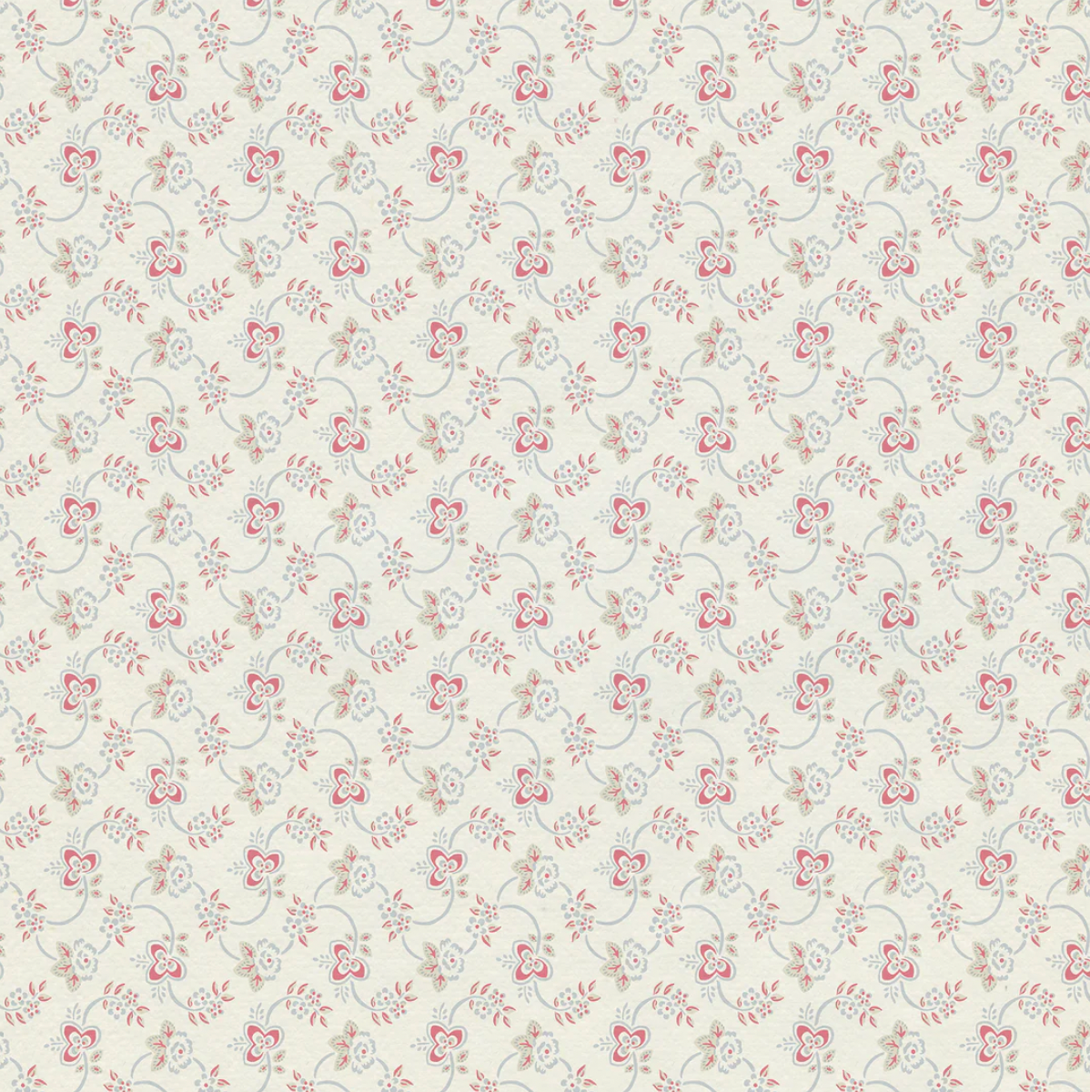 Charlotte Gaisford | Pimlico