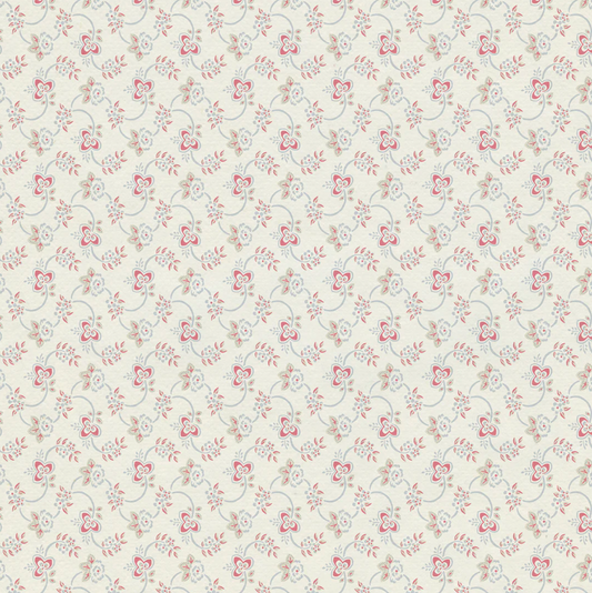 Charlotte Gaisford | Pimlico