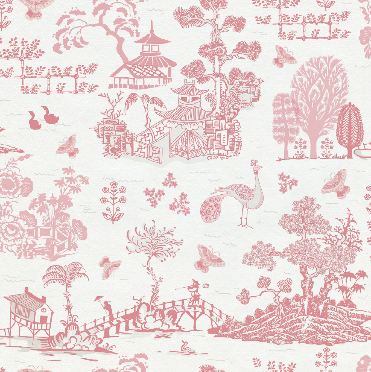 Charlotte Gaisford | Amazing Mandarins