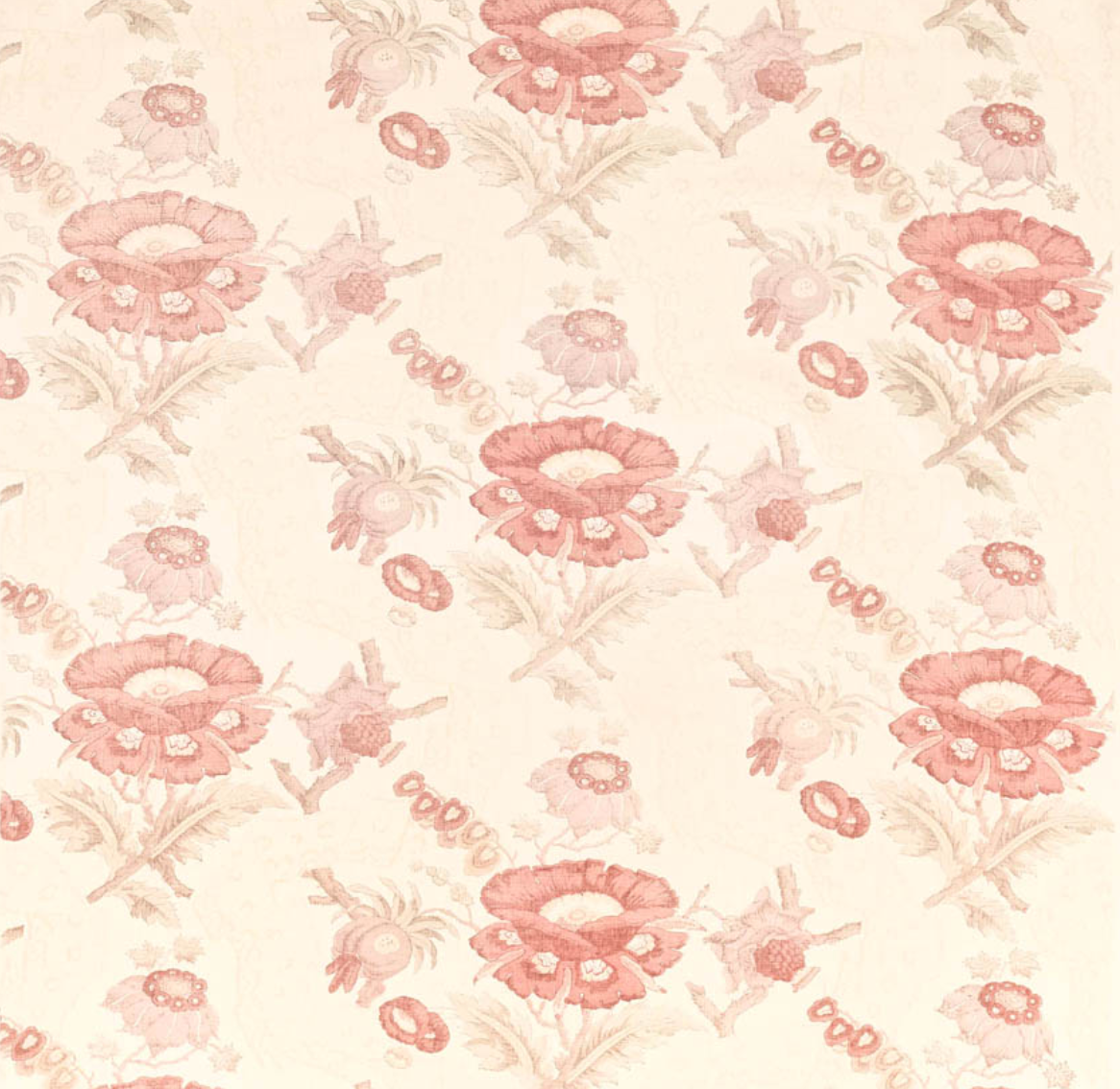 Robert Kime | Opium Poppy