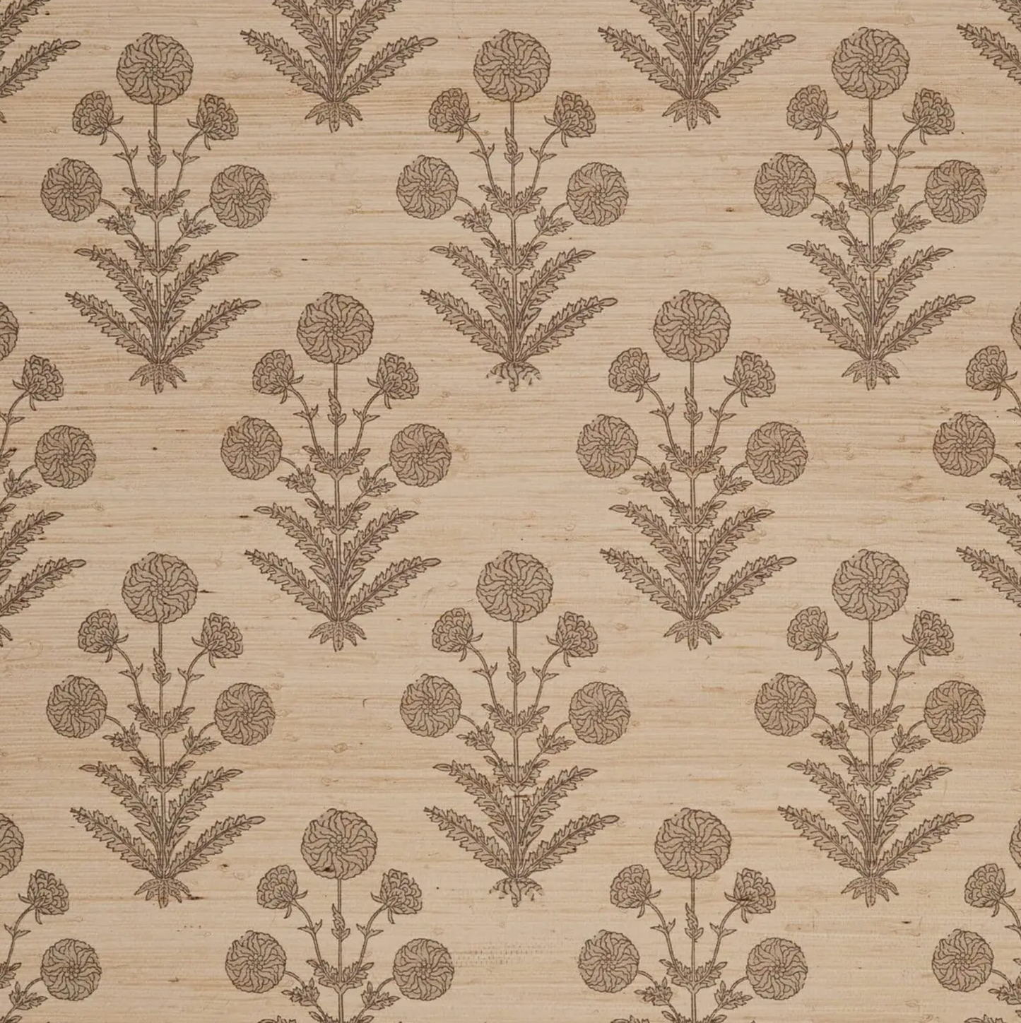 Elizabeth Eakins | Alur