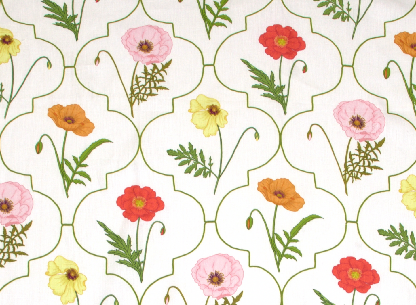 Betsy | Arabesque Poppy