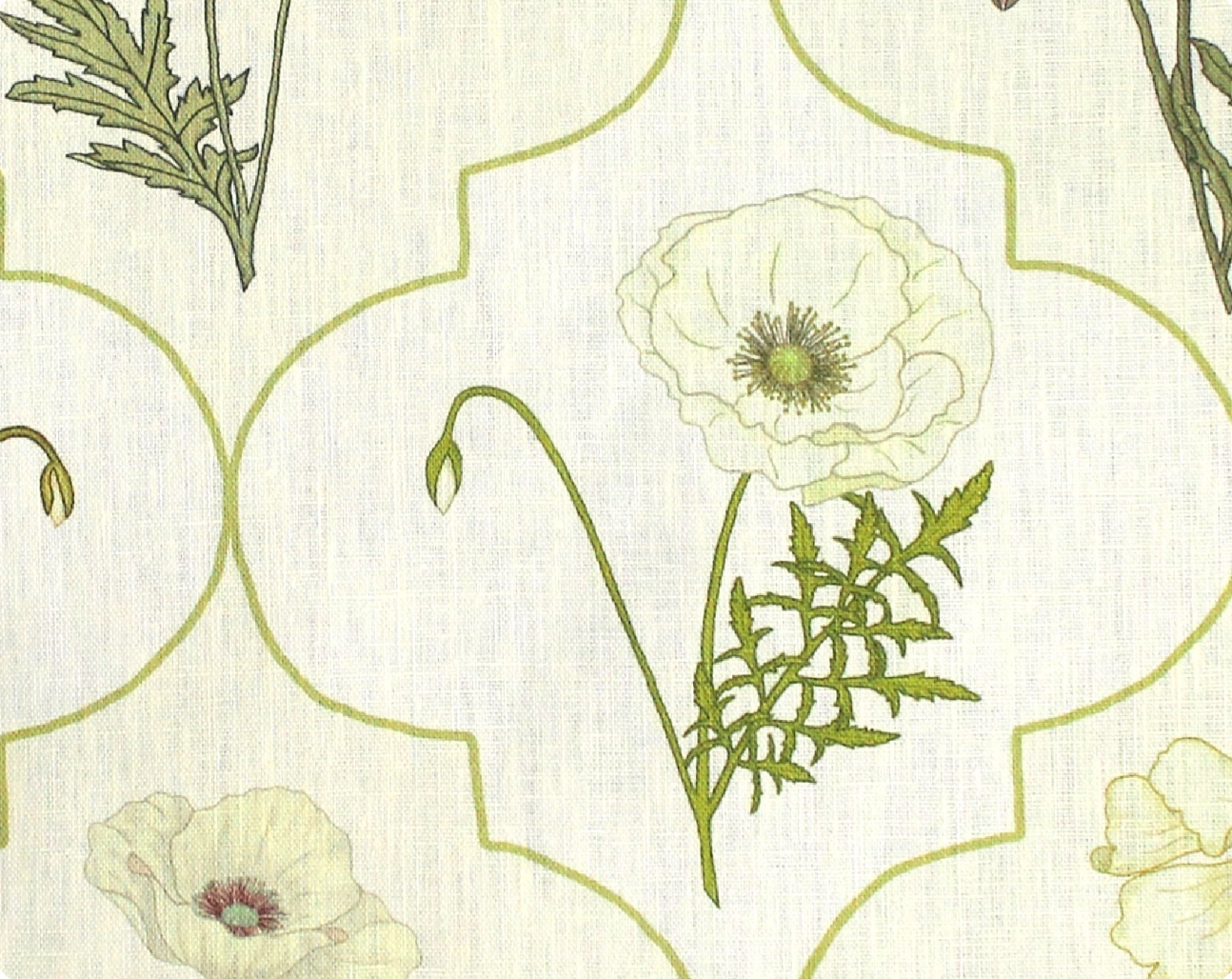 Betsy | Arabesque Poppy