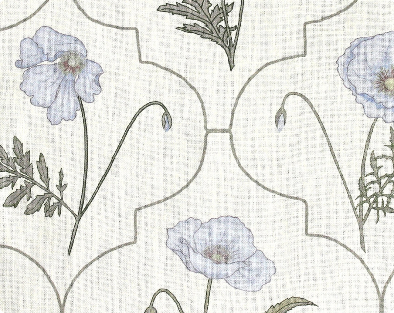 Betsy | Arabesque Poppy