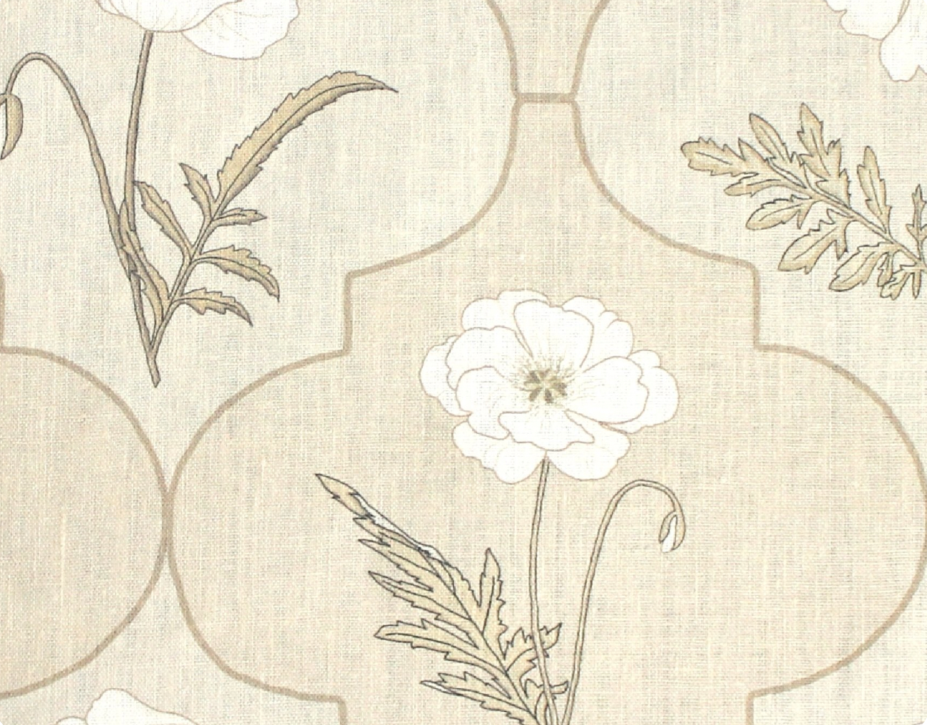 Betsy | Arabesque Poppy