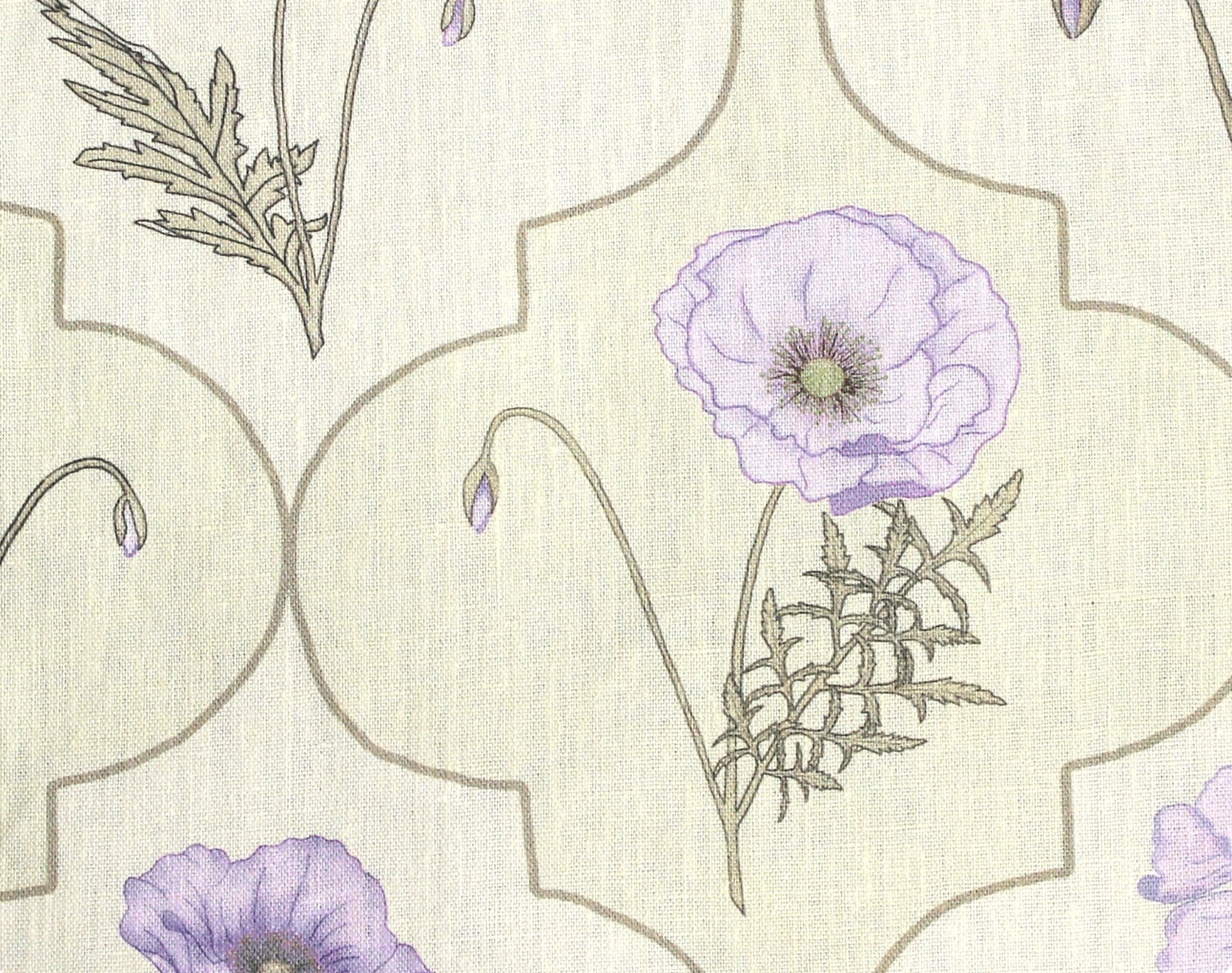 Betsy | Arabesque Poppy