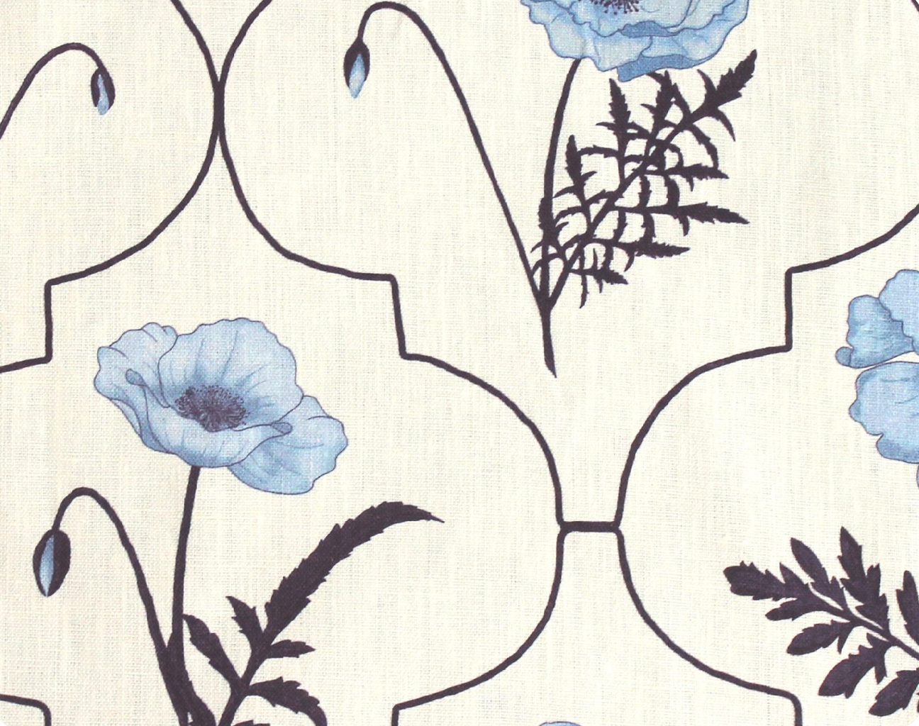 Betsy | Arabesque Poppy