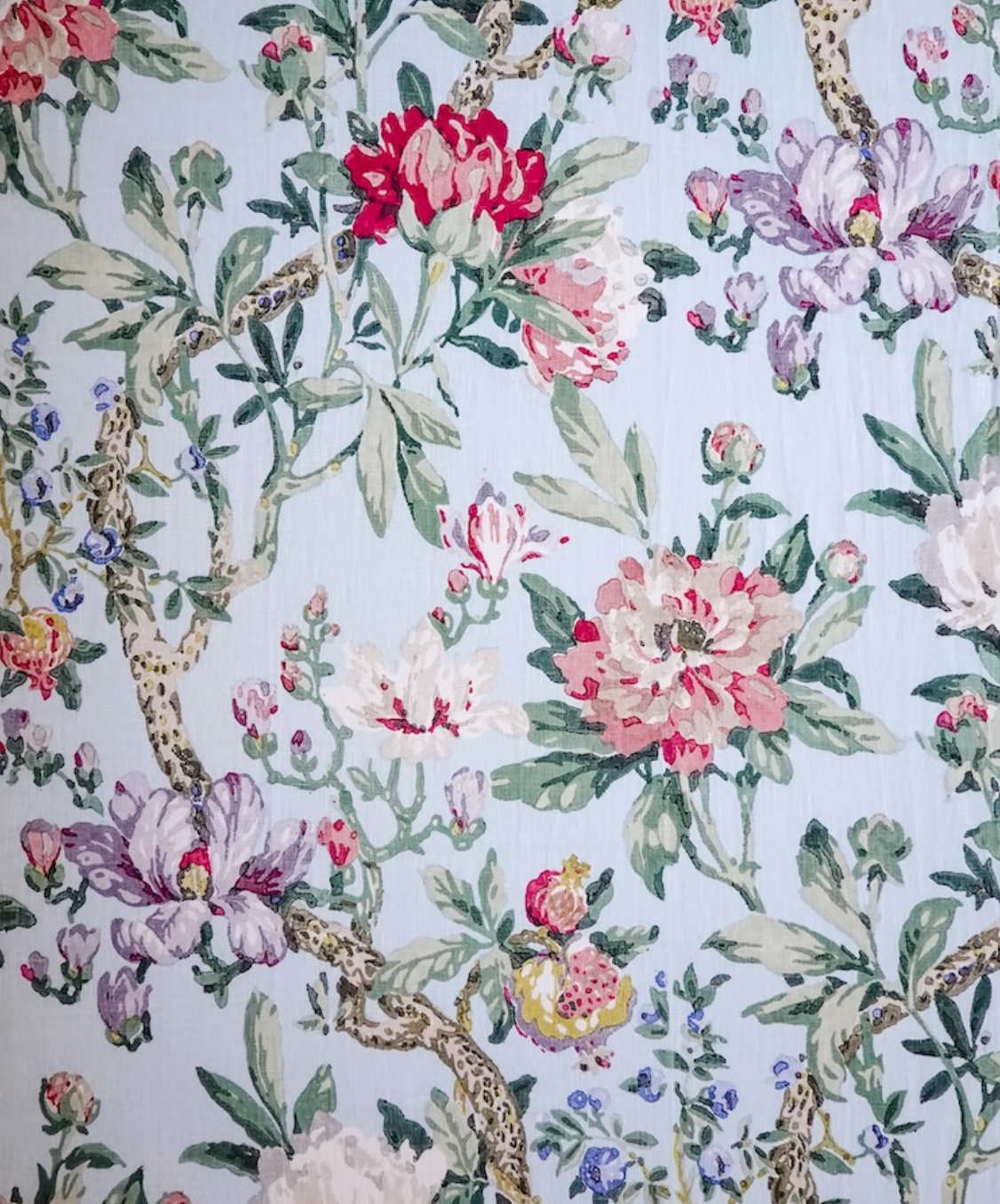 Hazelton House | Magnolia