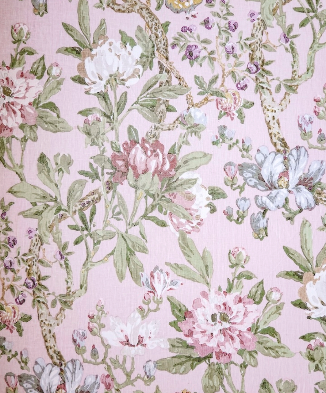 Hazelton House | Magnolia