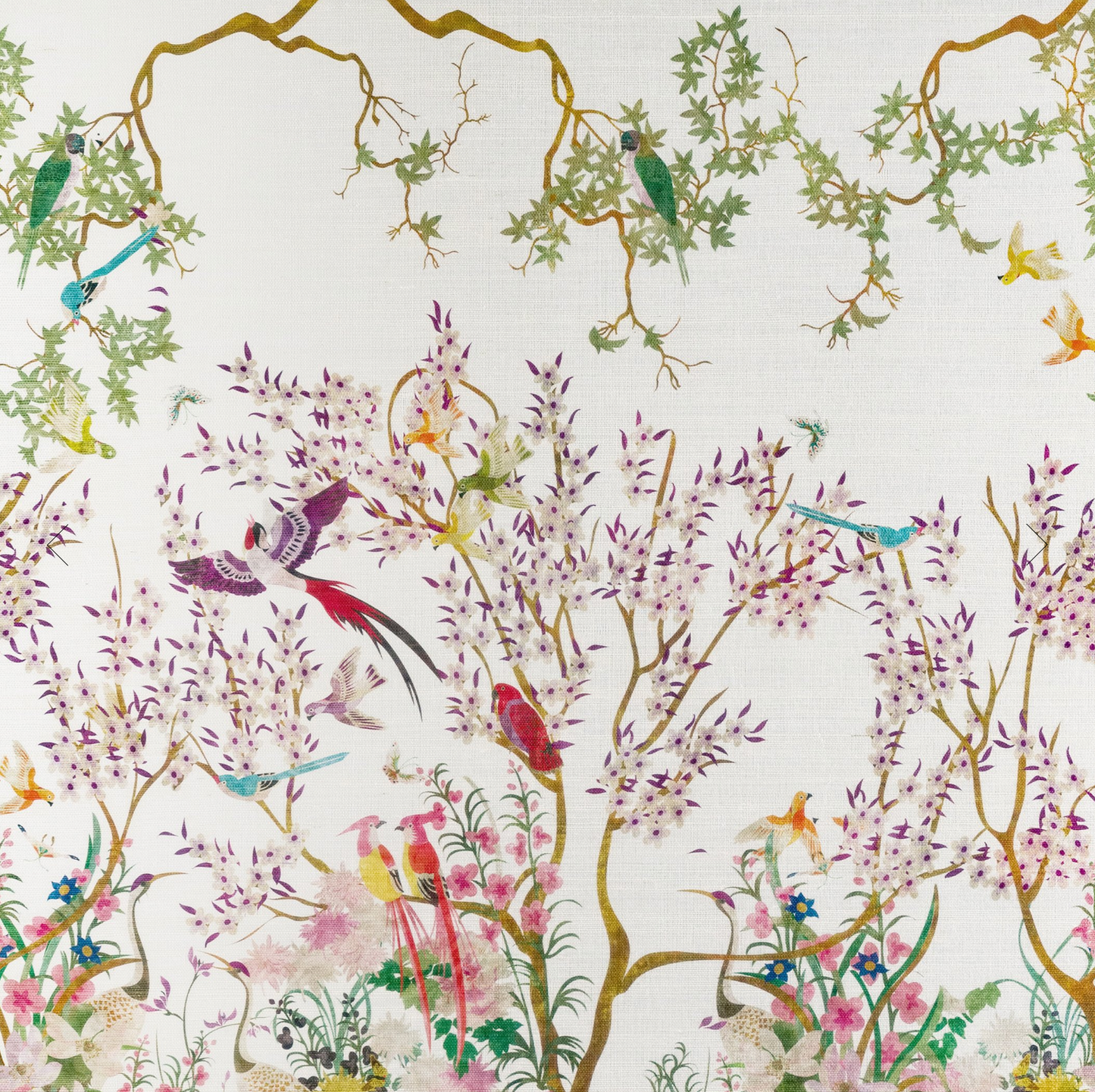 Parete | Jardin Des Oiseaux