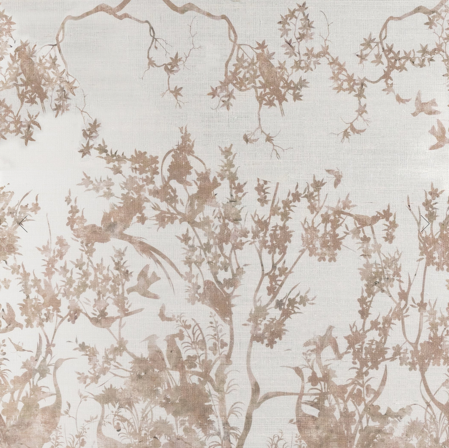 Parete | Jardin Des Oiseaux