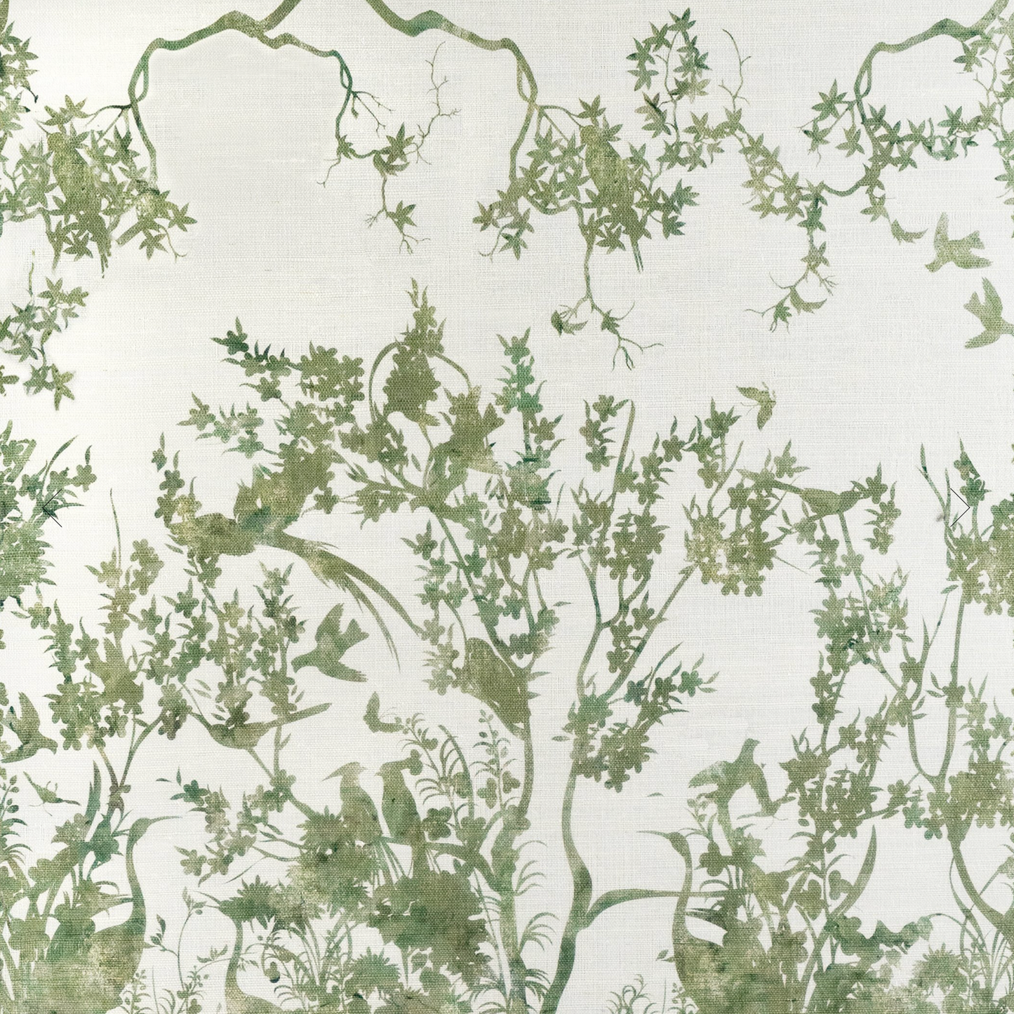 Parete | Jardin Des Oiseaux