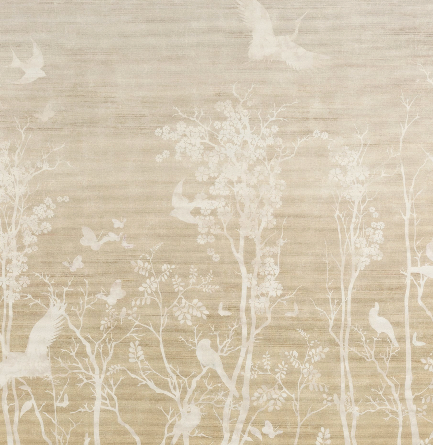 Parete | Tranquille Vibras