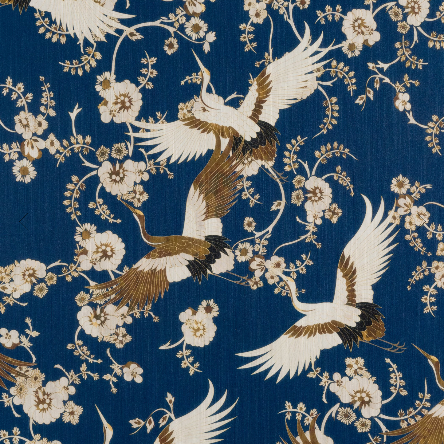 Parete | Momentos Pass