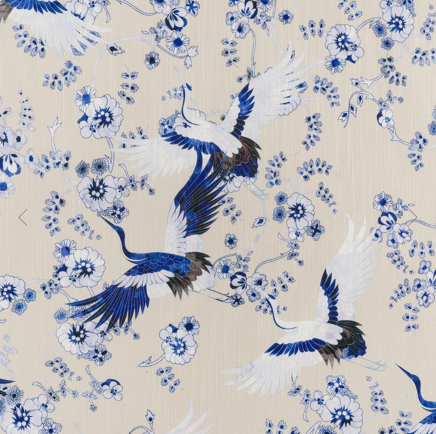 Parete | Momentos Pass