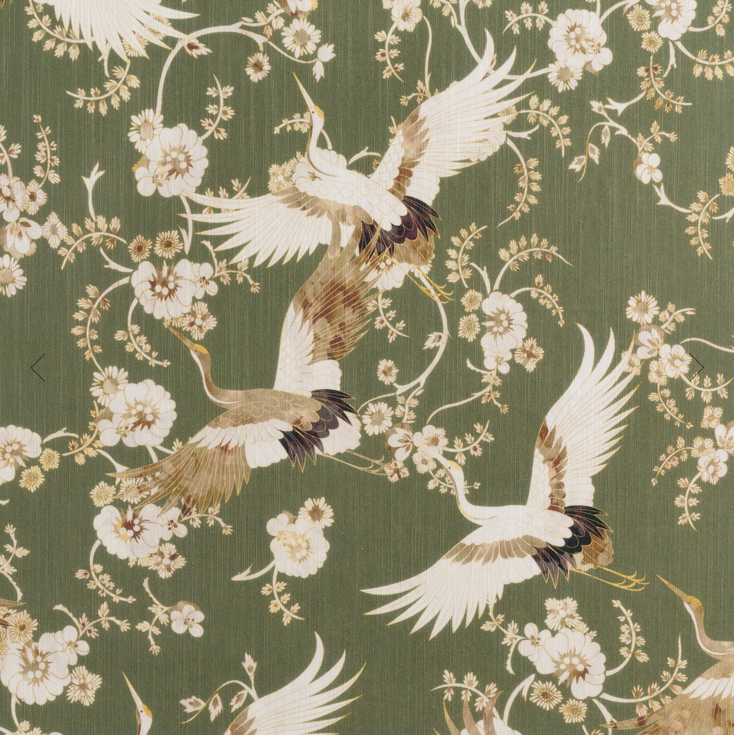 Parete | Momentos Pass