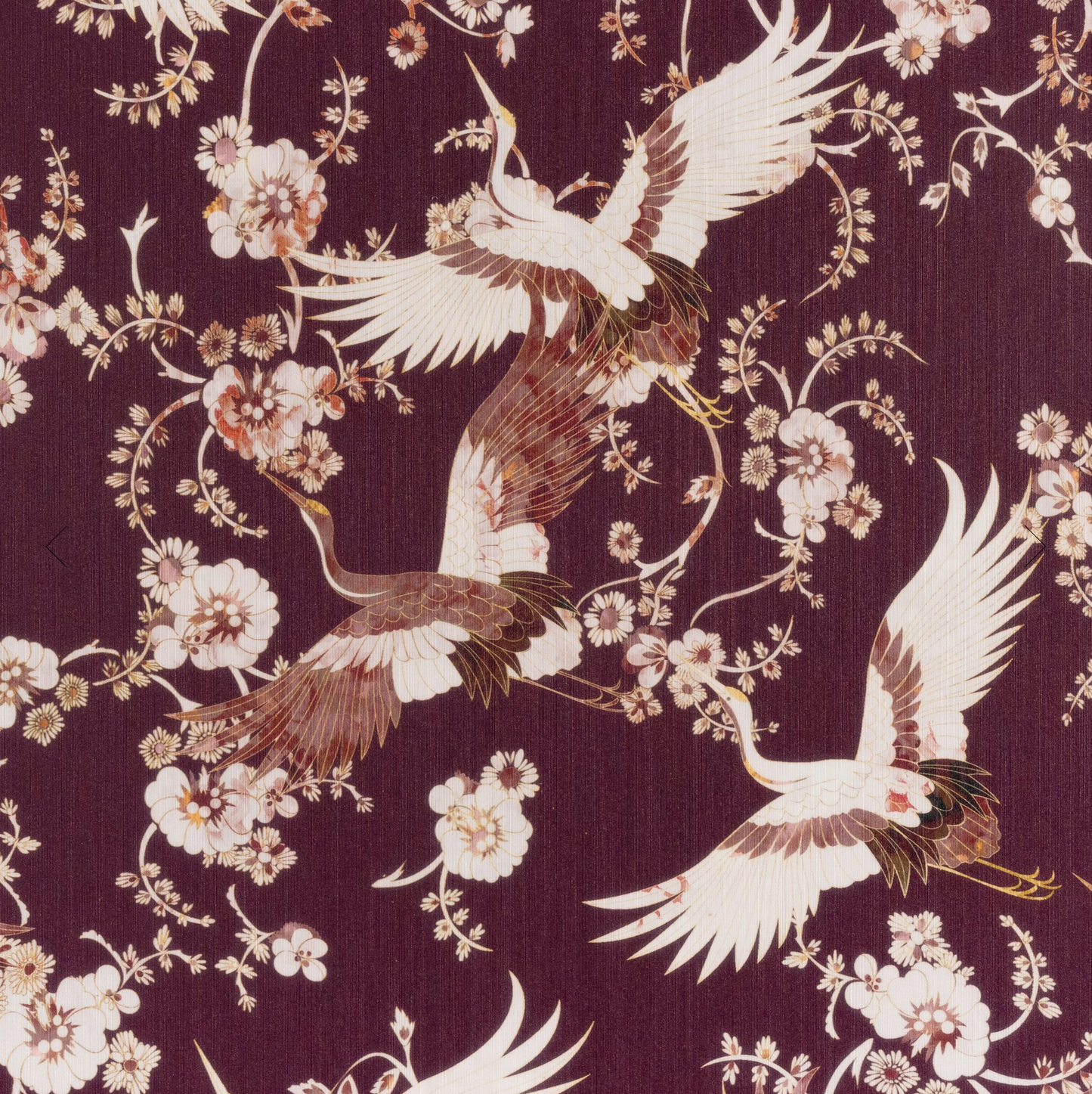 Parete | Momentos Pass