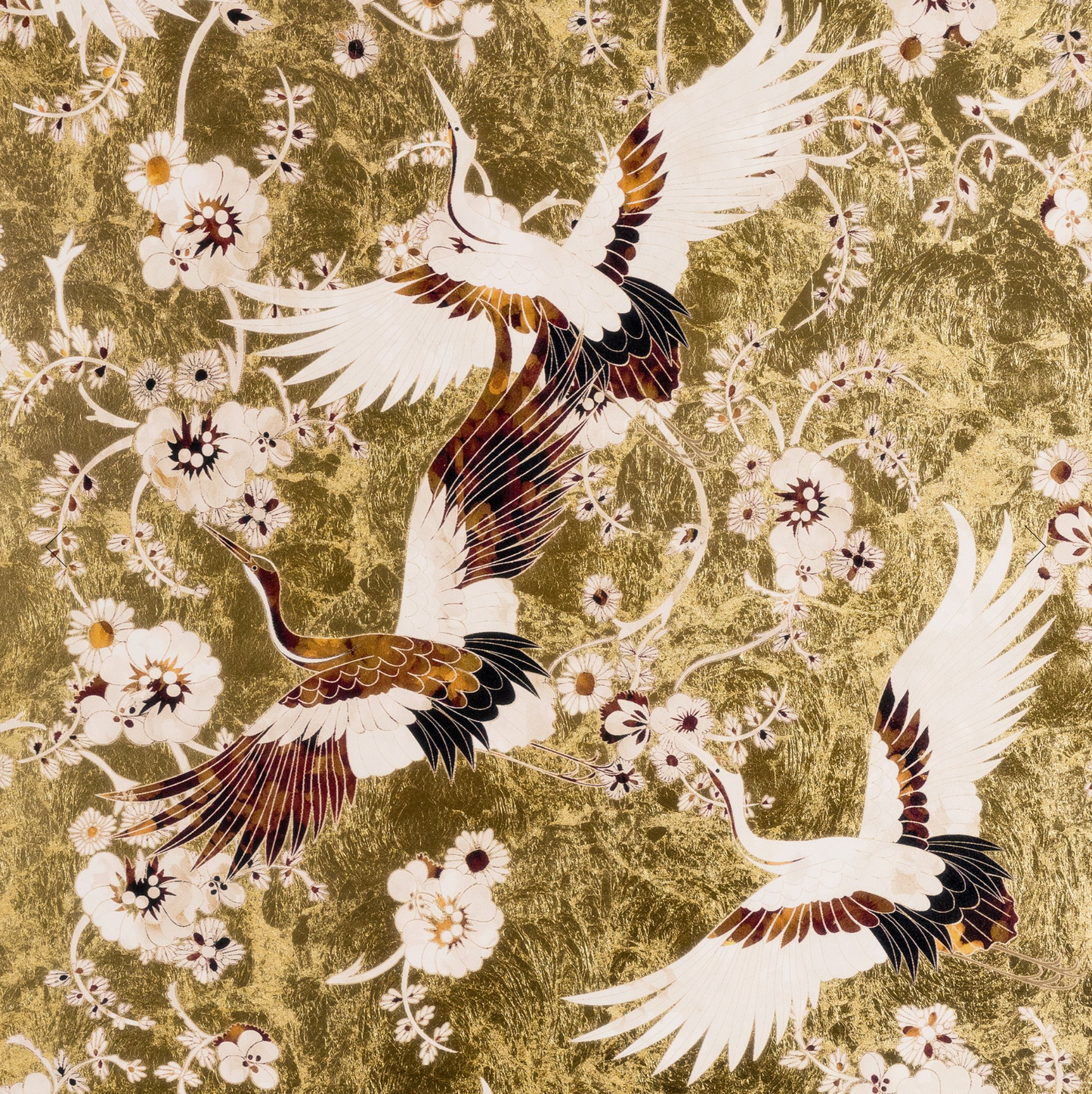 Parete | Momentos Pass