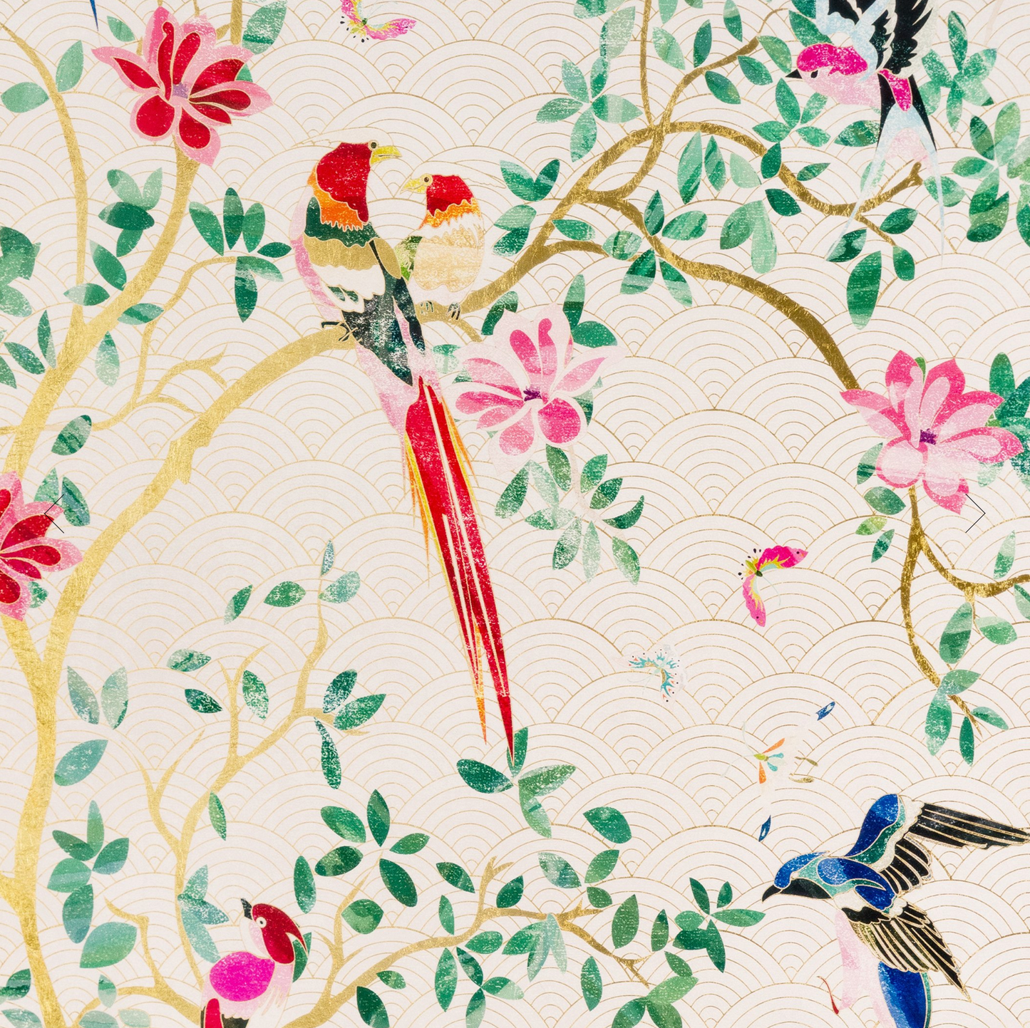 Parete | Canto De Parajitos