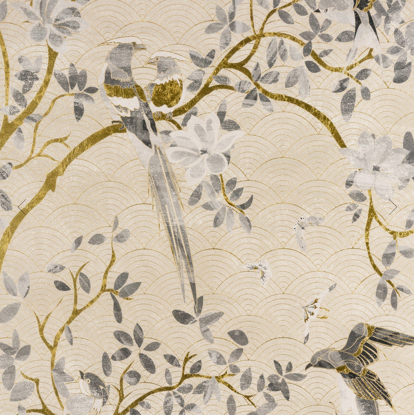 Parete | Canto De Parajitos