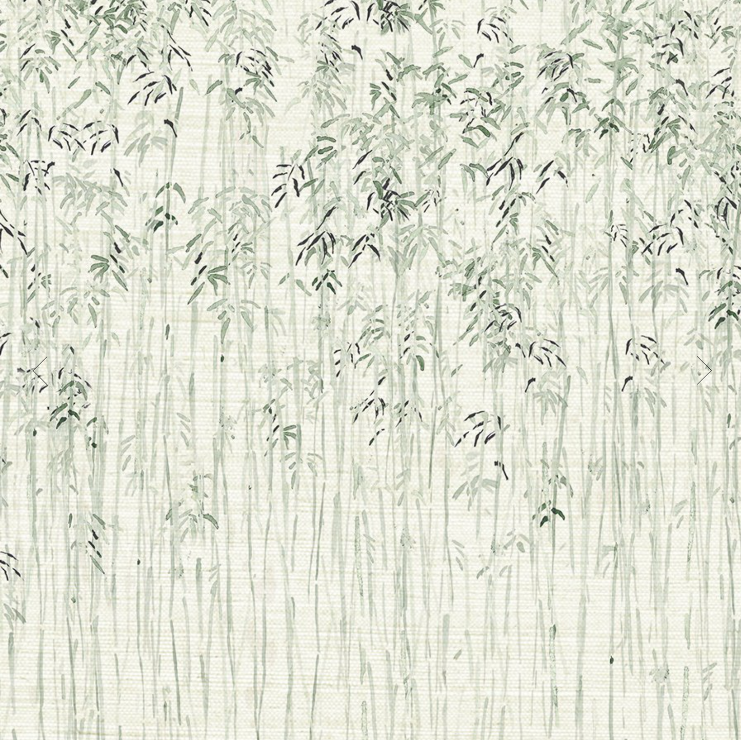 Parete | Talk to the Palma