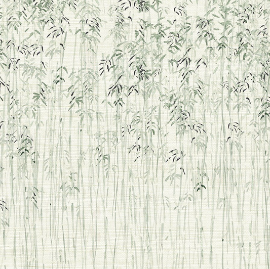 Parete | Talk to the Palma