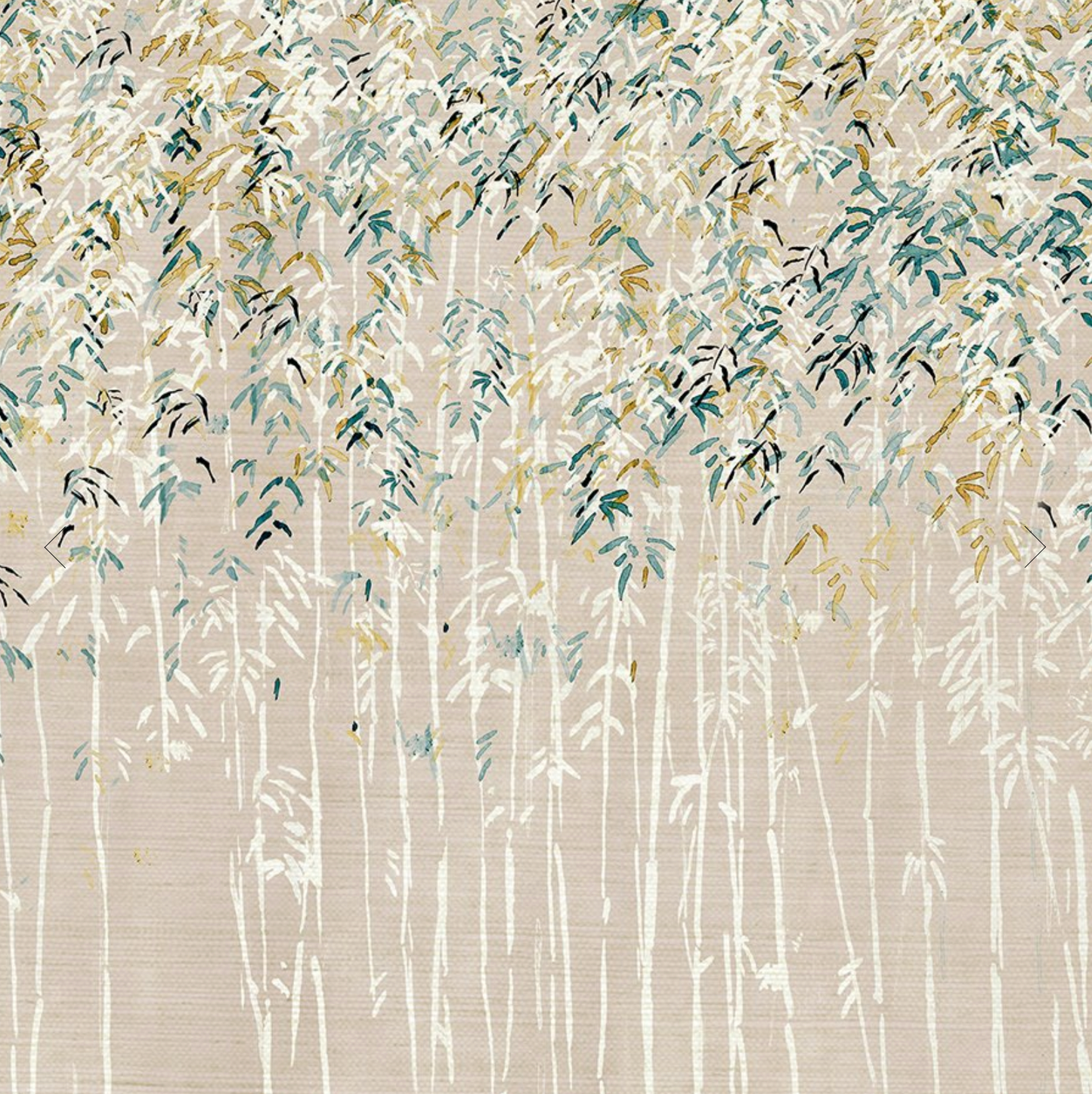 Parete | Talk to the Palma