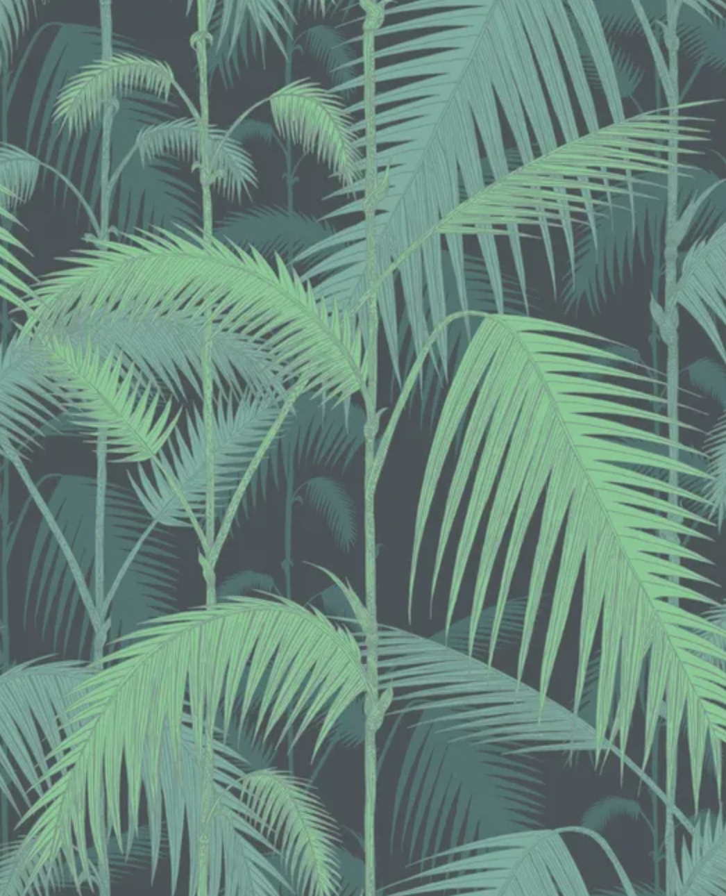 Green/Black