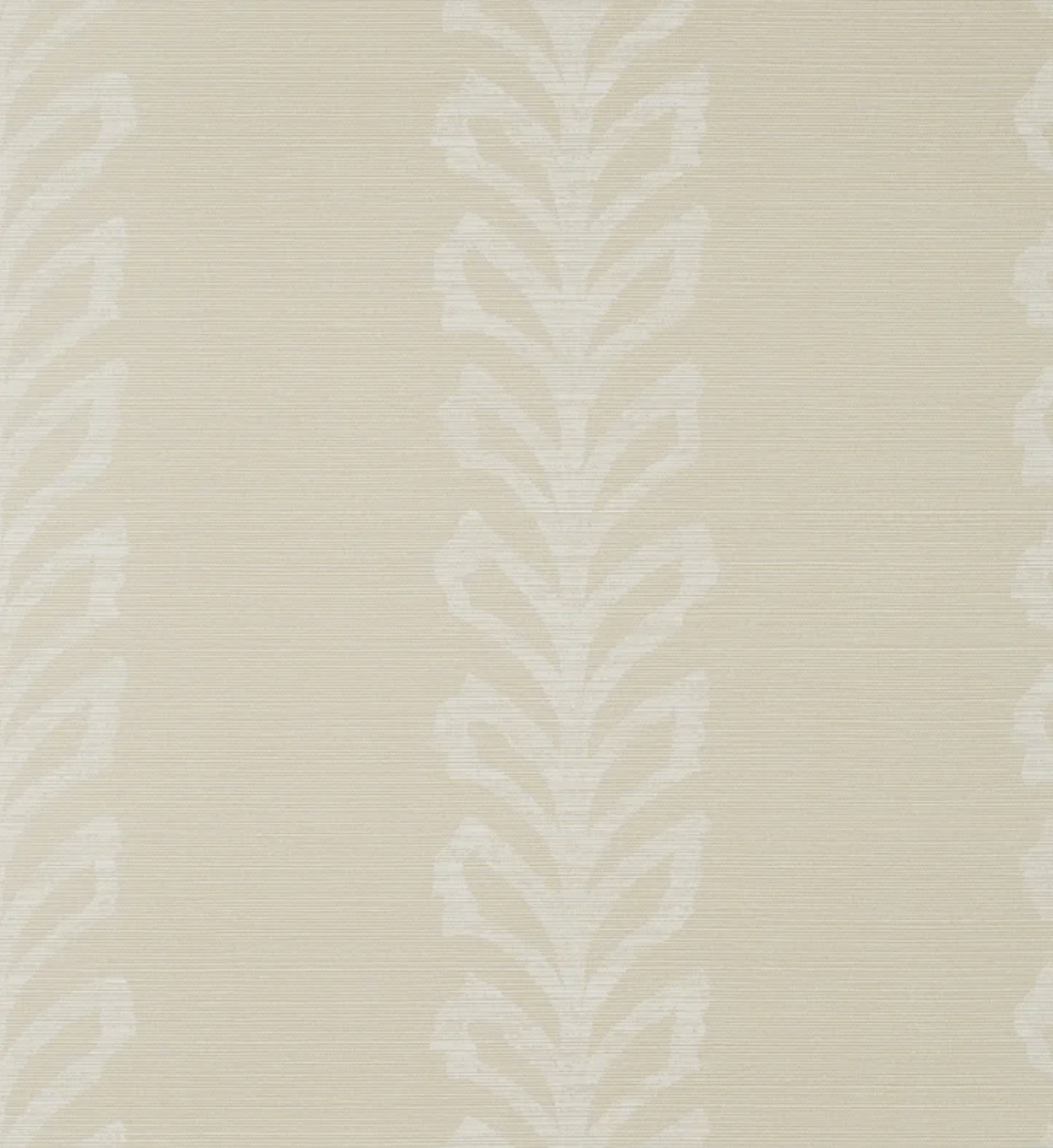 Thibaut | Evia