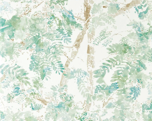 Harlequin | Ceiba