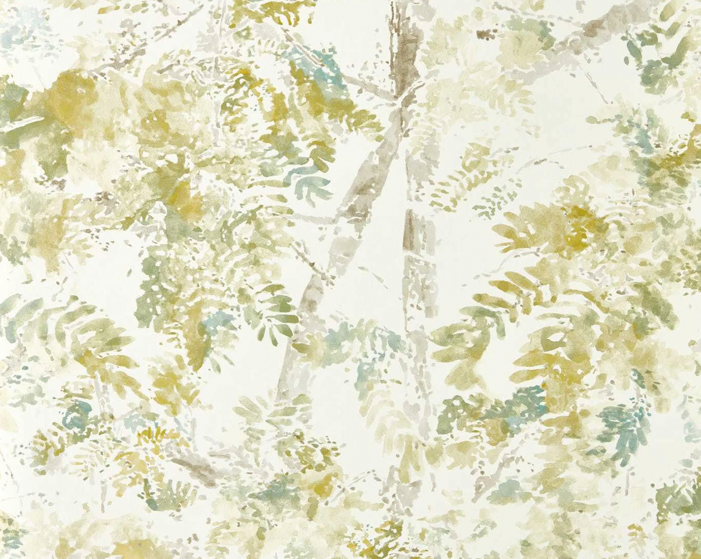 Harlequin | Ceiba