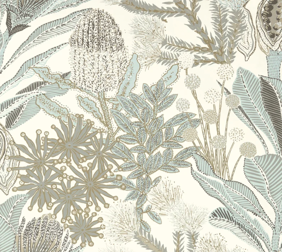 Thibaut | Protea