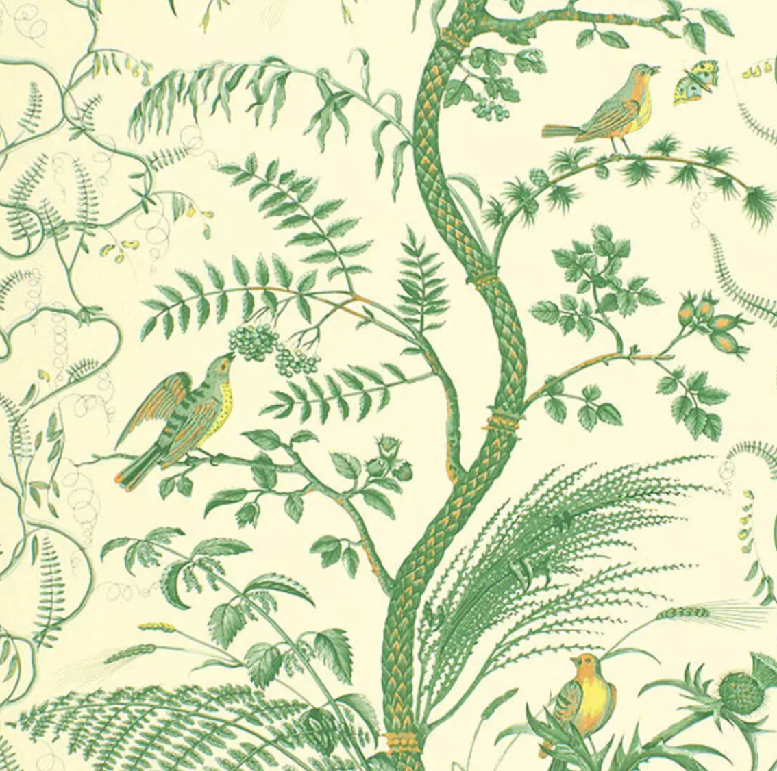 Brunschwig & Fils | Bird and Thistle
