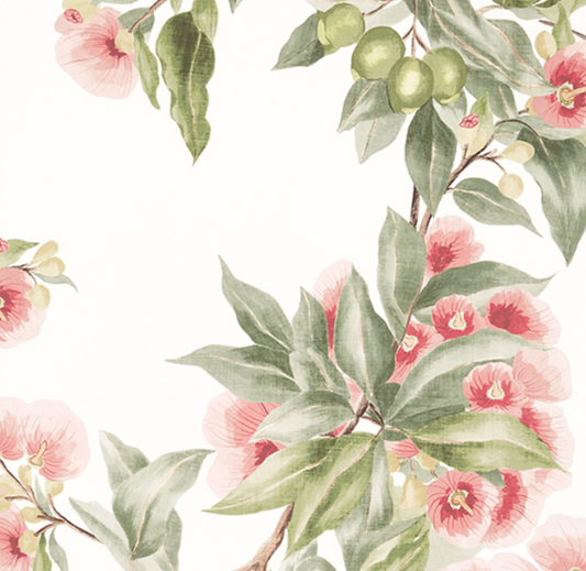 Anna French - Devon | Camellia Garden | Coral
