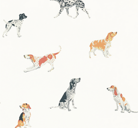 Anna French - Devon | Buddy | Multi