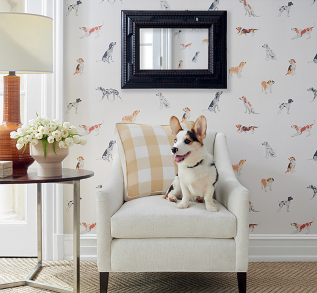 Anna French - Devon | Buddy | Multi