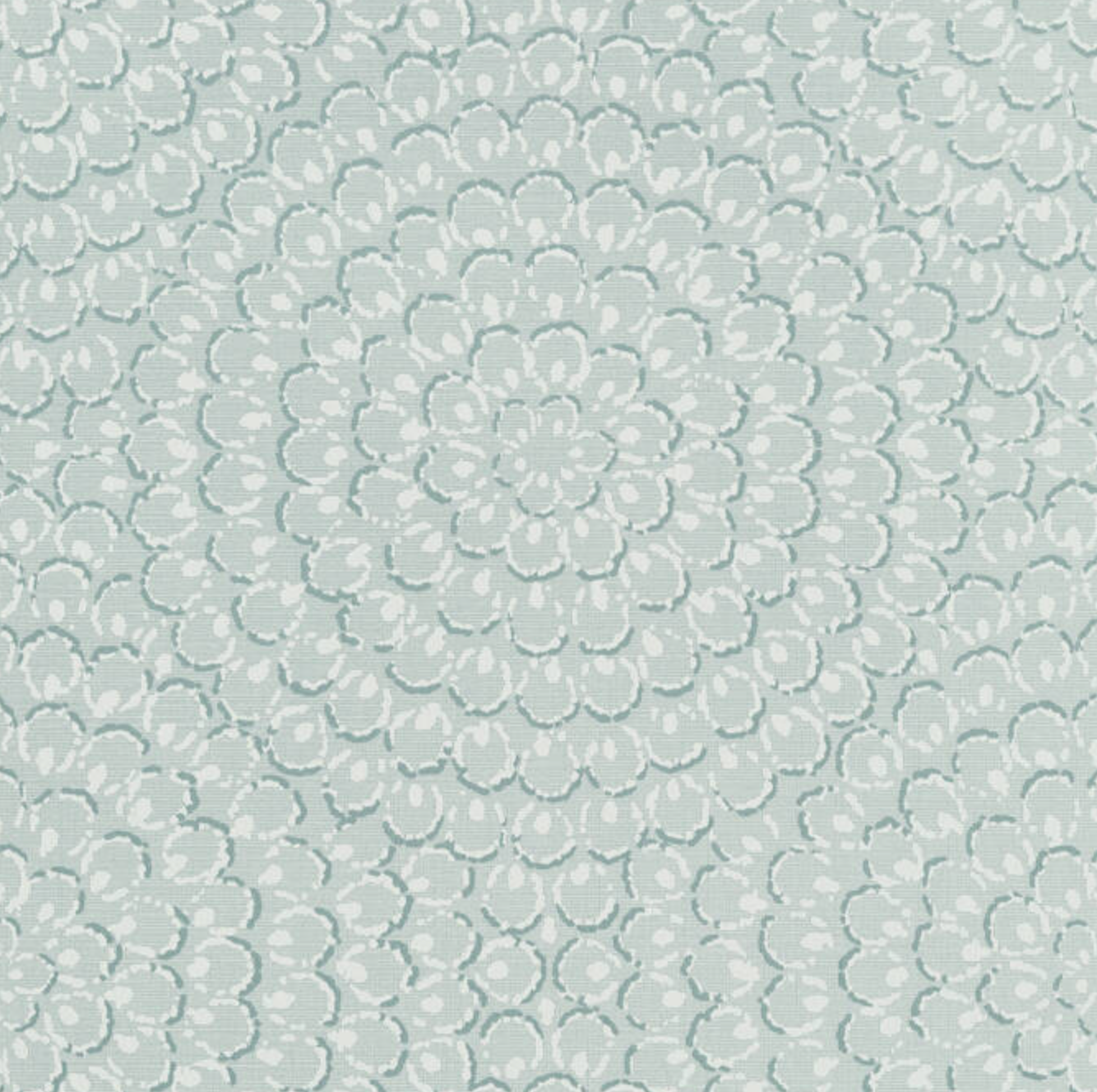 Thibaut | Aster - Soft Blue