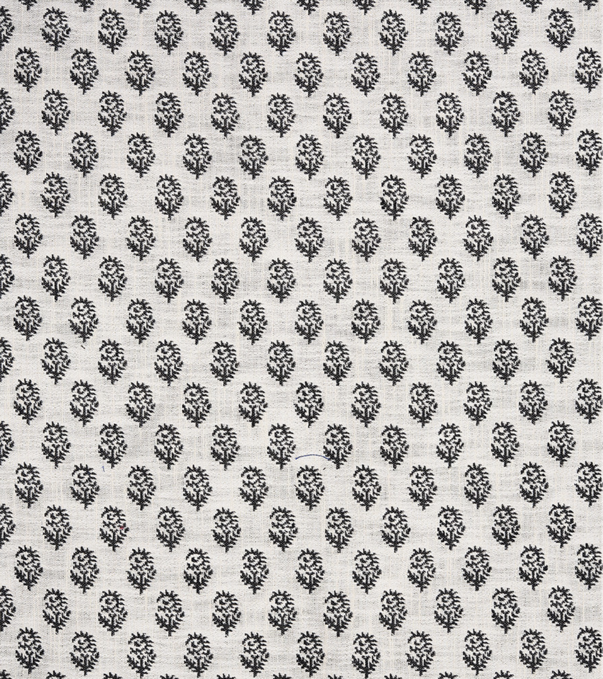 Rajmata Performance Fabric
