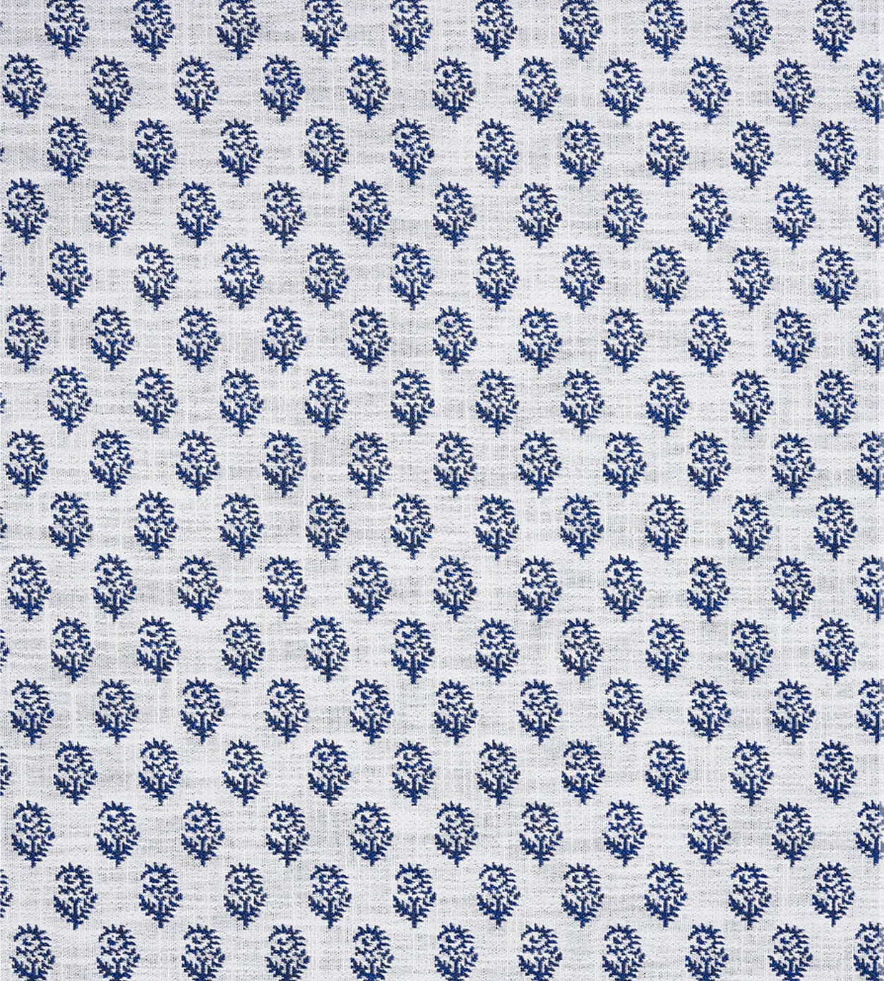 Rajmata Performance Fabric