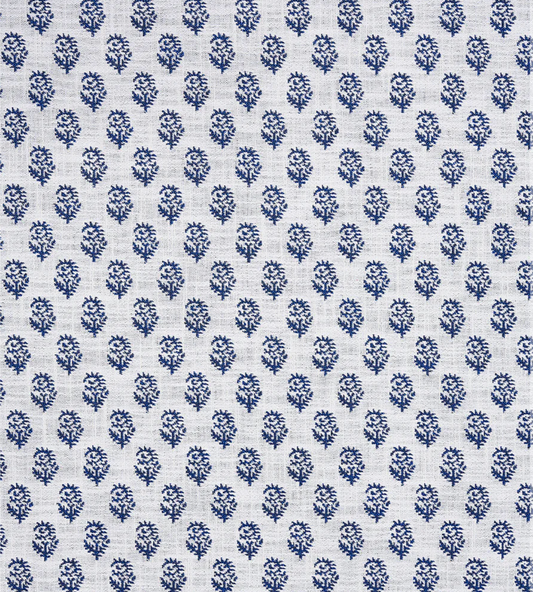 Rajmata Performance Fabric