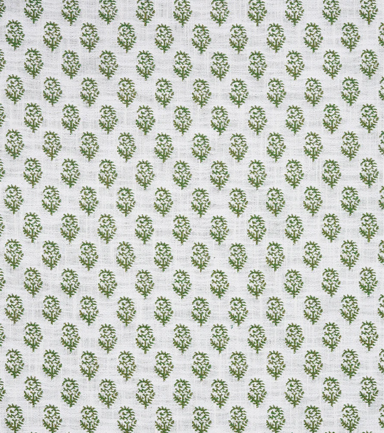 Rajmata Performance Fabric