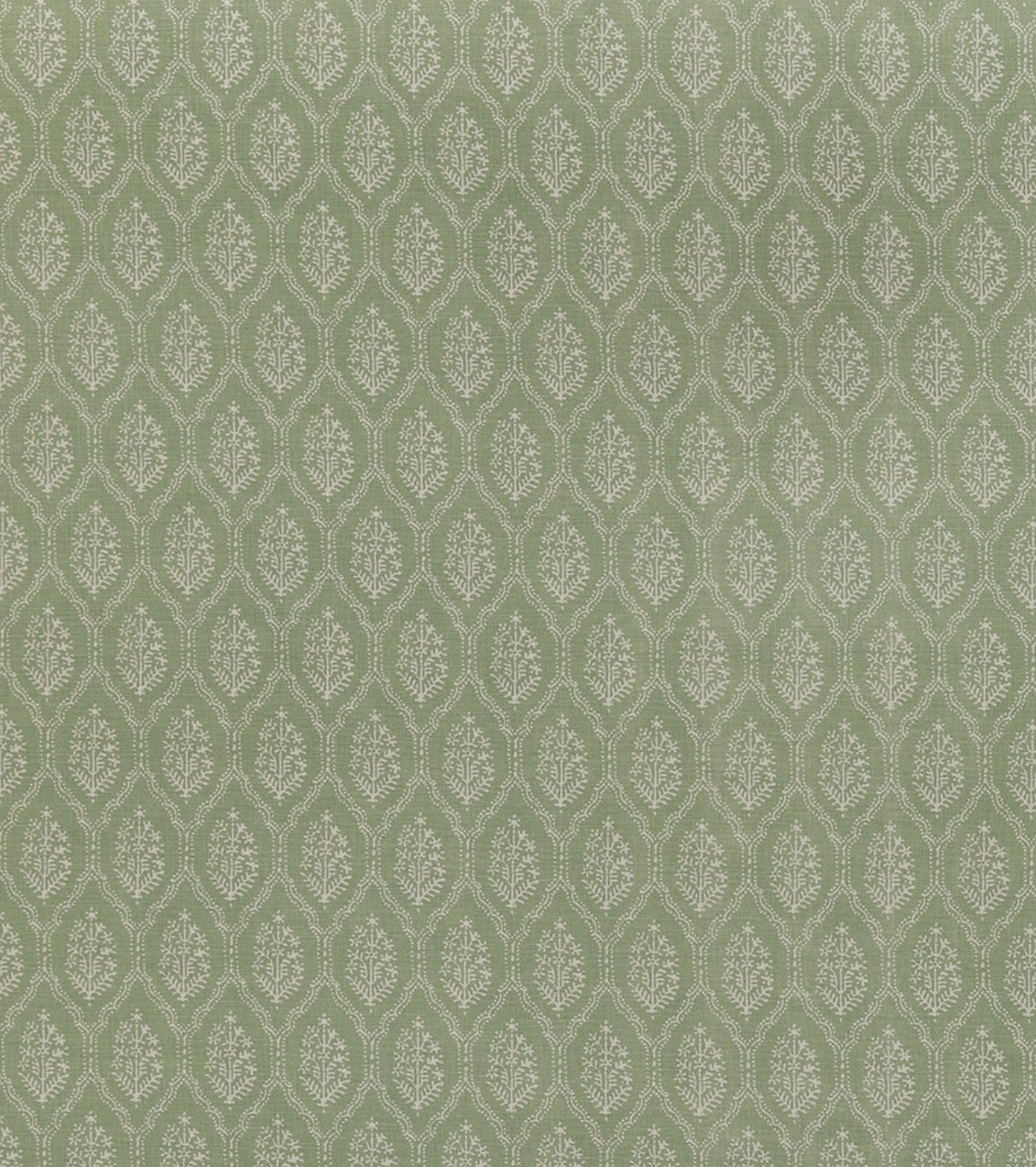 Jaali Fabric