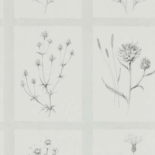 Sanderson | Little Thistles | Pewter