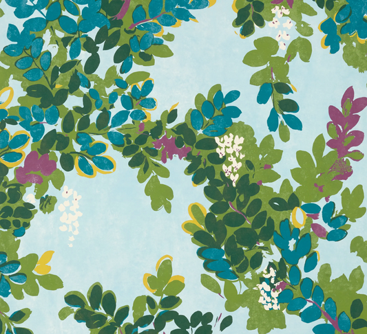 Thibaut | Central Park