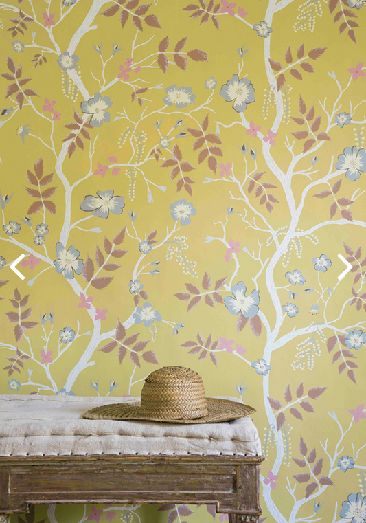 Lewis & Wood | Cinda's Roses