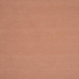 Cowtan & Tout | Marisol