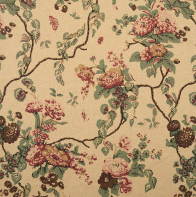 Jasper | Tree of Life