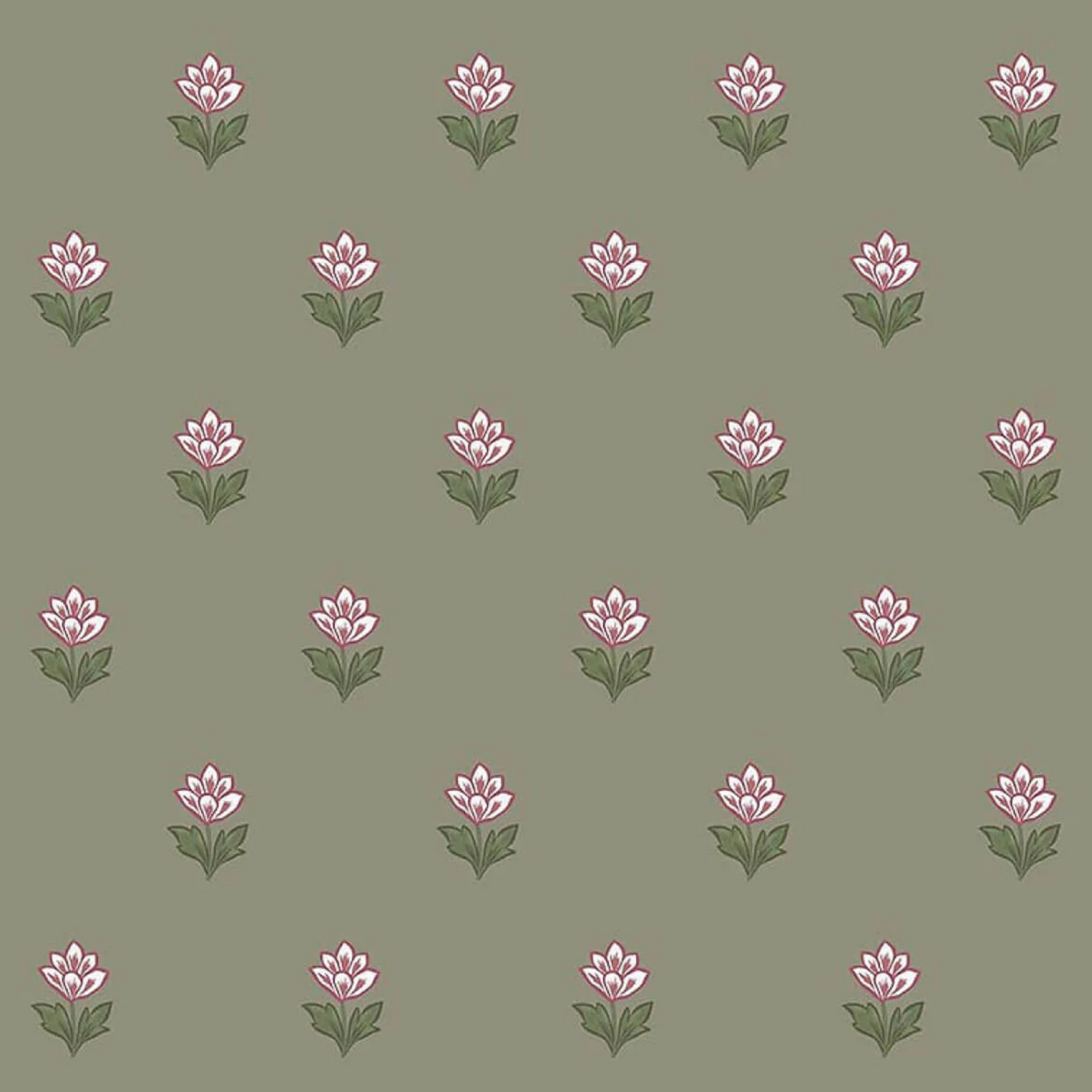 Ottoline | Indian Tulips