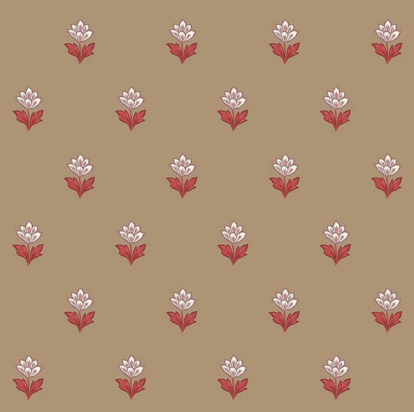 Ottoline | Indian Tulips