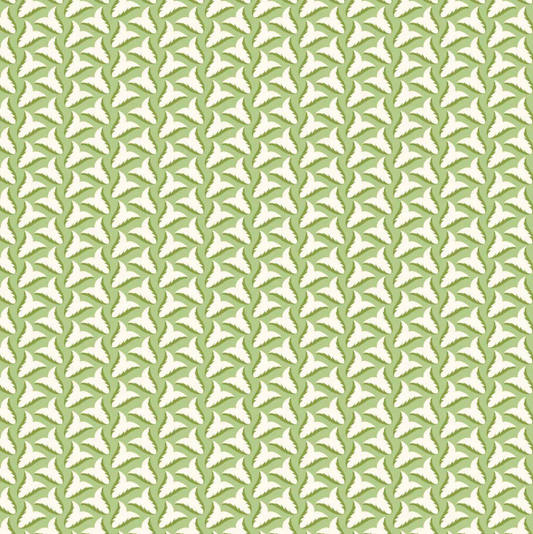 Ottoline | Tiny Tulips